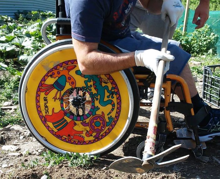 Contributi straordinari una tantum alle cooperative sociali