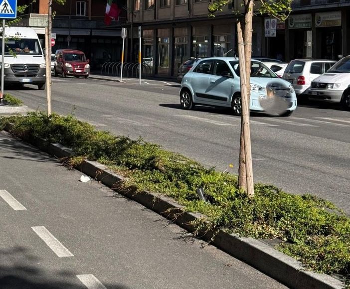 Aosta, in Consiglio comunale confronto sulla gestione delle aiuole cittadine Aosta, in Consiglio comunale confronto sulla gestione delle aiuole cittadine