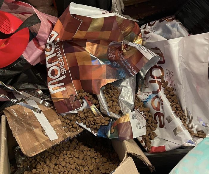 Follia dei vandali, devastato il Centro Cinofilo All Dogs di Sarre Follia dei vandali, devastato il Centro Cinofilo All Dogs di Sarre