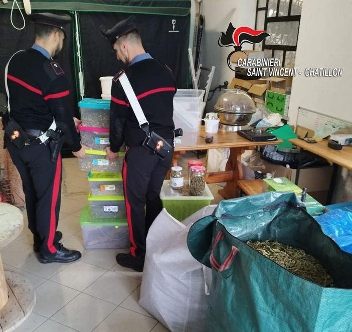 I carabinieri durante una fase del sequestro e, nella foto all'interno dell'articolo, parte della marijuana sequestrata I carabinieri durante una fase del sequestro e, nella foto all'interno dell'articolo, parte della marijuana sequestrata