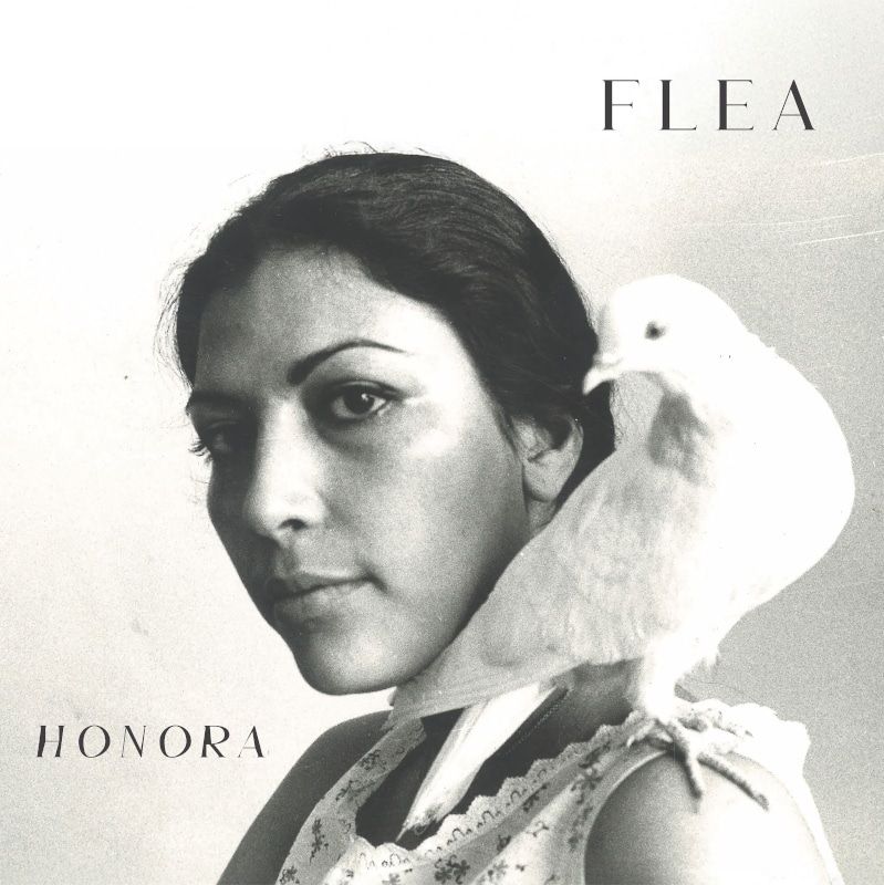 Flea debutta da solista; il 27 marzo è uscito 'Honora' Flea debutta da solista; il 27 marzo è uscito 'Honora'