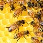 Dove andare e cosa fare dall’11 al 17 maggio