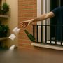 Il balcone non è una discarica; quando l’inciviltà diventa reato penale