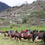 Pac, in Valle in arrivo anticipi per 3,2 milioni di euro a sostegno delle aziende agricole