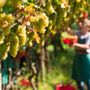 Istituzioni e agricoltori si confrontano su presente e futuro dell’agricoltura in montagna