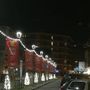 Confcommercio sostiene le luminarie di viale Conte Crotti, 'un impegno per tutta la città'