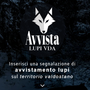 E' nata l'app 'Avvista Lupi VdA' per segnalarne la presenza