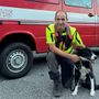 Il cane Teo con il suo conduttore