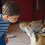 Con il CELVA un corso per bambini per conoscere e rispettare i cani
