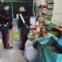 I carabinieri durante una fase del sequestro e, nella foto all'interno dell'articolo, parte della marijuana sequestrata