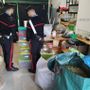 I carabinieri durante una fase del sequestro e, nella foto all'interno dell'articolo, parte della marijuana sequestrata I carabinieri durante una fase del sequestro e, nella foto all'interno dell'articolo, parte della marijuana sequestrata