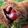 Weekend in Valle d’Aosta tra cultura, natura e tradizione