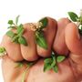 Sostenibilità ancora troppo cara; prezzi, truffe e scarsa informazione frenano i consumatori Sostenibilità ancora troppo cara; prezzi, truffe e scarsa informazione frenano i consumatori