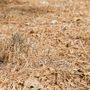 Crisi idrica, la Valle resta in affanno; perso il 20% della disponibilità d'acqua