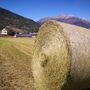 Ricerca e Innovazione, parole d'ordine dell'Institut Agricole Régional