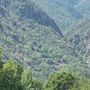 Domato l'incendio boschivo sopra Montjovet