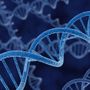 Nuova prospettiva sulla formazione degli anelli di Dna nei tumori Nuova prospettiva sulla formazione degli anelli di Dna nei tumori