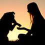 Aosta, torna il corso per i piccoli proprietari di cani Aosta, torna il corso per i piccoli proprietari di cani