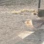 Domani allerta 'gialla' sulla Valle per l'arrivo di temporali