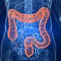 'L’intestino 3.0', webinar su questo grande sconosciuto per gli operatori della salute 'L’intestino 3.0', webinar su questo grande sconosciuto per gli operatori della salute