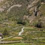 Institut Agricole, sono online le curve di maturazione delle uve