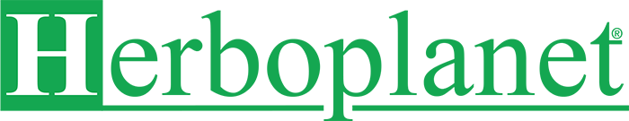 Helicobacter Pylori, l'innovativa terapia del dottor Gabriele Prinzi- WEBINAR