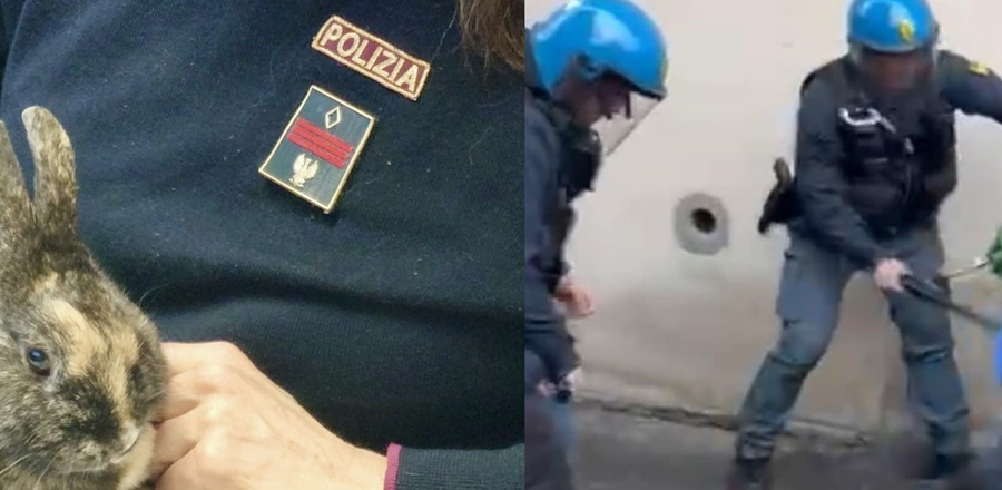 Il coniglio e il manganello