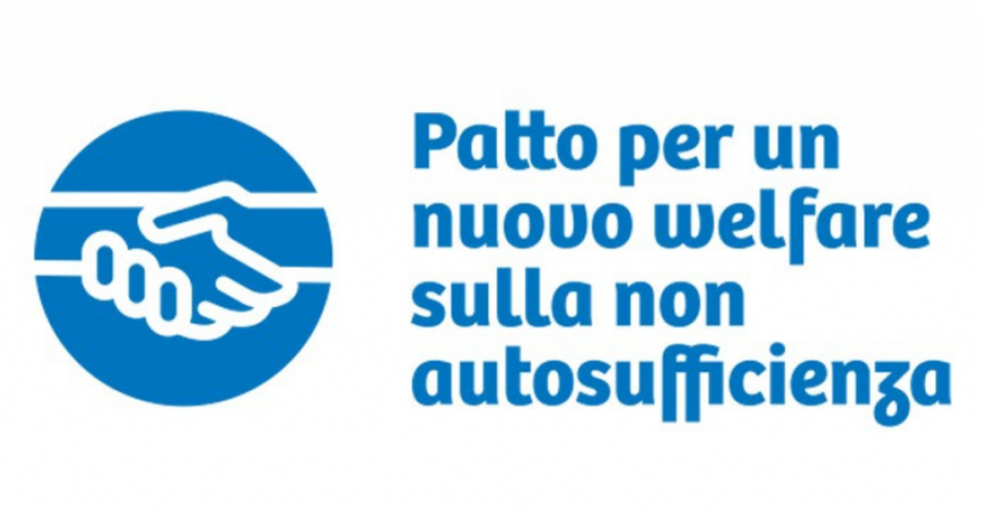 Le proposte di Cittadinanzattiva per un nuovo welfare sulla non autosufficienza Le proposte di Cittadinanzattiva per un nuovo welfare sulla non autosufficienza