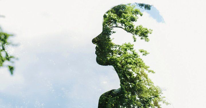 'È tempo dell’Ecocene', appello per un cambio di passo economico ed ecologico