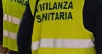 Escrementi di topo, chiude bar 'Chabloz' a Nus Escrementi di topo, chiude bar 'Chabloz' a Nus