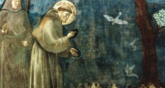 Il Canto che abbraccia il creato; 800 anni di luce con San Francesco