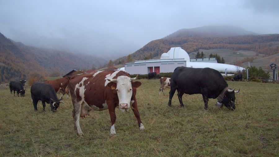 Nelle sale valdostane 'Segnali di vita', che a St-Barthélemy racconta la bellezza dell'umano Nelle sale valdostane 'Segnali di vita', che a St-Barthélemy racconta la bellezza dell'umano