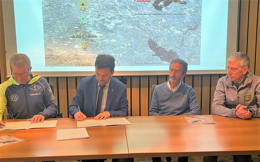 Arrampicata sportiva e tutela della fauna: un dialogo aperto tra guide alpine e ornitologi Arrampicata sportiva e tutela della fauna: un dialogo aperto tra guide alpine e ornitologi