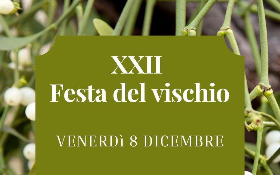 Con AnimaTerrae torna a Saint-Denis la Festa del Vischio
