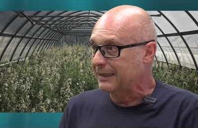 René Benzo René Benzo