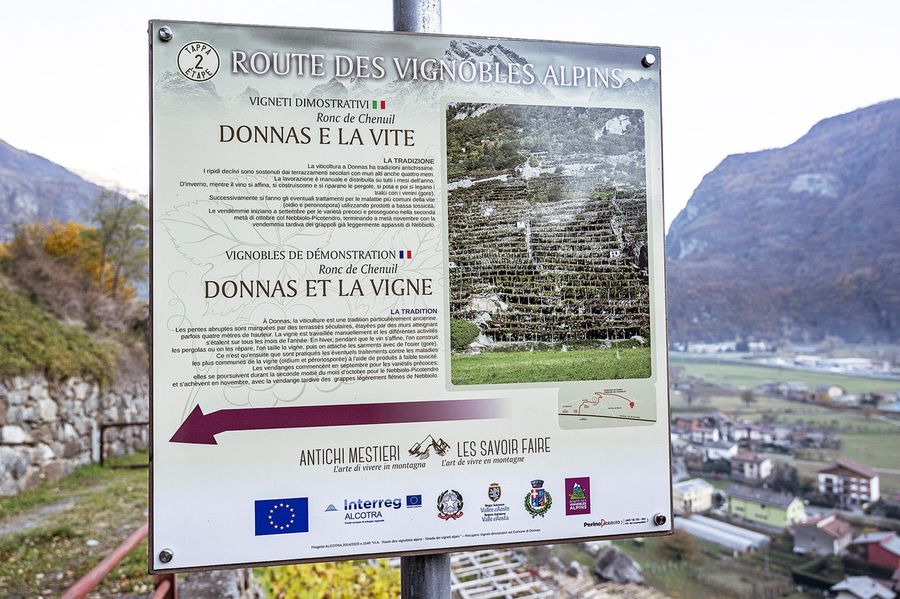 'Tour de la Route des vignobles alpins', evento conclusivo ad Aymavilles 'Tour de la Route des vignobles alpins', evento conclusivo ad Aymavilles