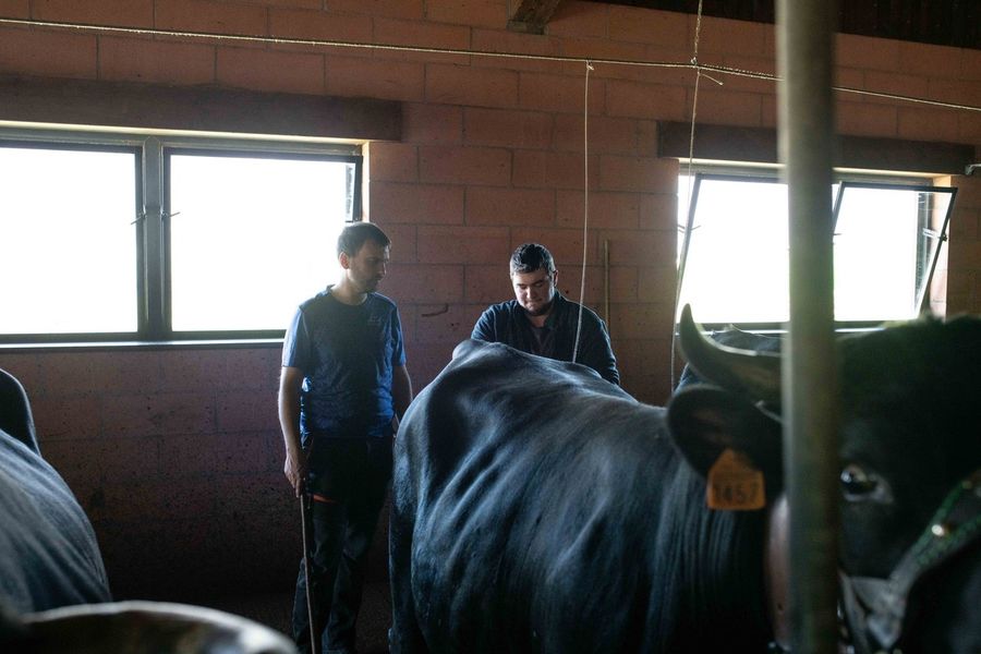 L'assessore Marco Carrel durante il convegno L'assessore Marco Carrel durante il convegno