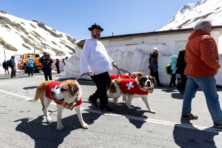 Riaperta la strada al Colle del Gran San Bernardo Riaperta la strada al Colle del Gran San Bernardo