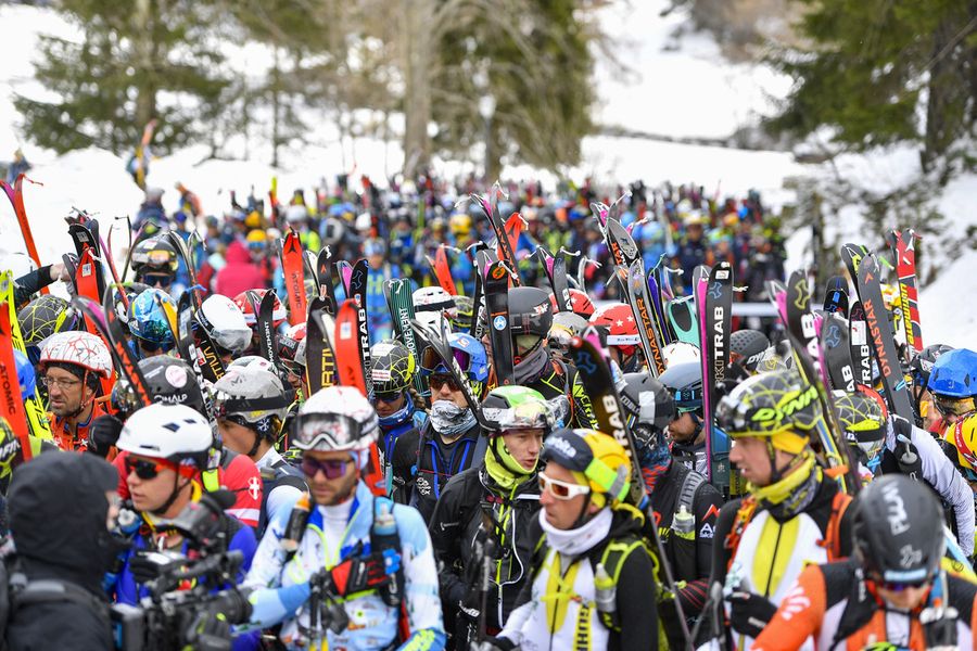 credit Davide Ferrari credit Davide Ferrari