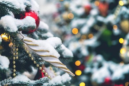 Photo Credtis: Olga Ilina Photo Credtis: Olga Ilina