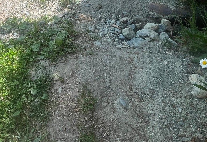 Champdepraz, il sentiero per disabili che esclude i disabili