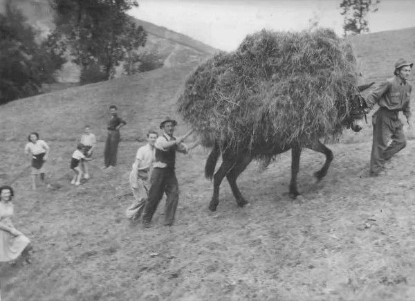 L'antica 'saggezza valdostana' sempre attuale oggi come ieri L'antica 'saggezza valdostana' sempre attuale oggi come ieri