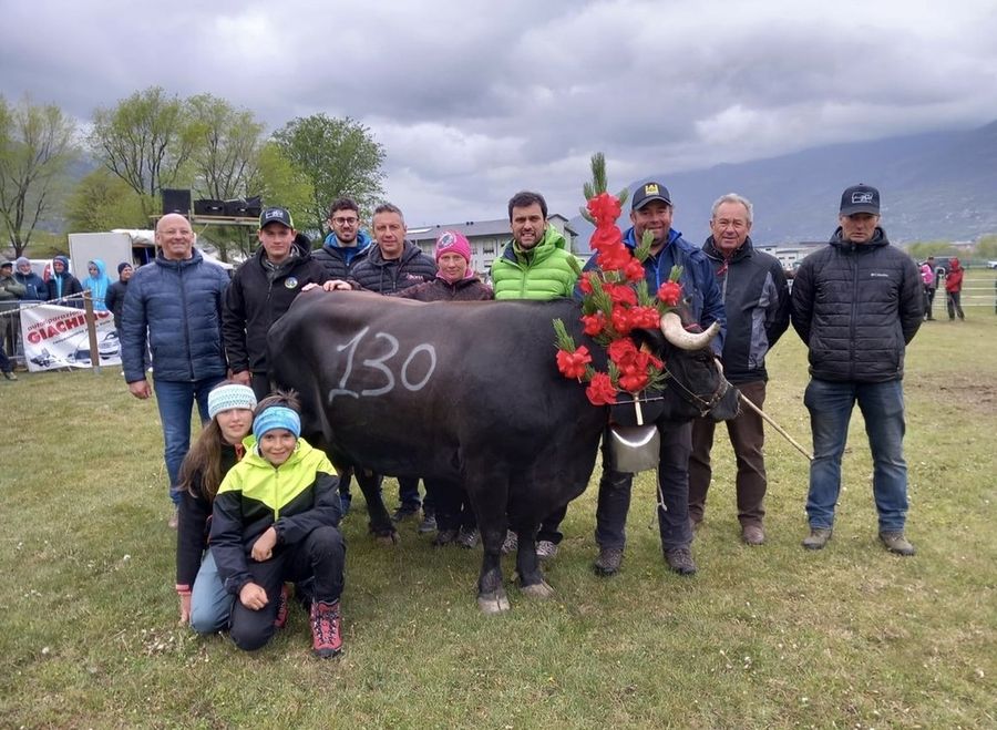 Arizona ha sbaragliato le avversarie