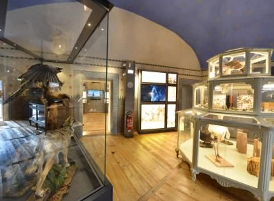 St-Pierre, il Museo di Scienze naturali è 'sotto le stelle' St-Pierre, il Museo di Scienze naturali è 'sotto le stelle'