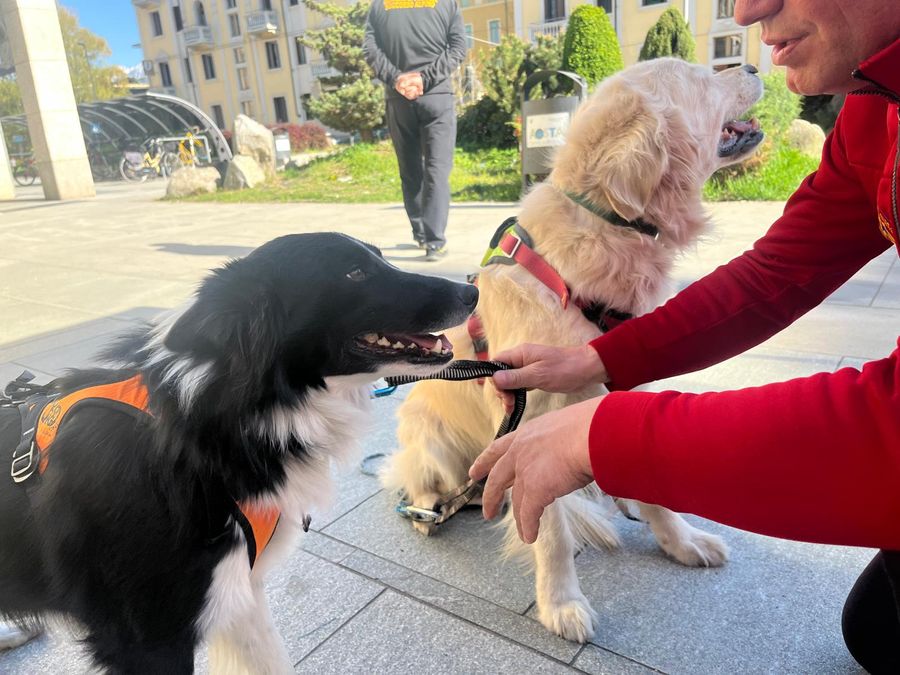 Riprogrammata la proiezione de 'I Volti e il Cuore' - VIDEO