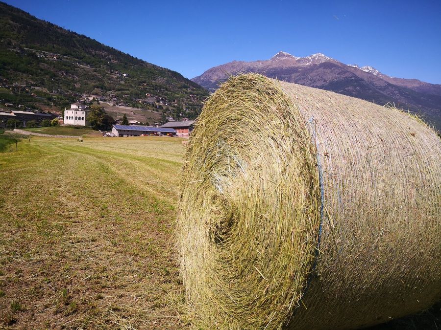 Ricerca e Innovazione, parole d'ordine dell'Institut Agricole Régional Ricerca e Innovazione, parole d'ordine dell'Institut Agricole Régional