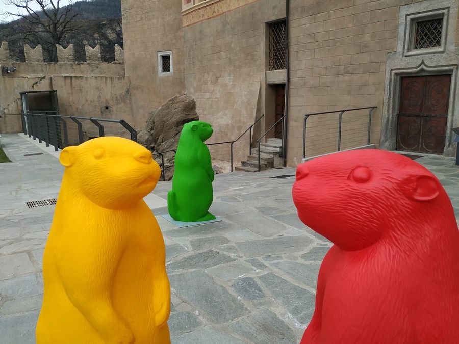Le marmotte della Cracking art in mostra in Valle Le marmotte della Cracking art in mostra in Valle