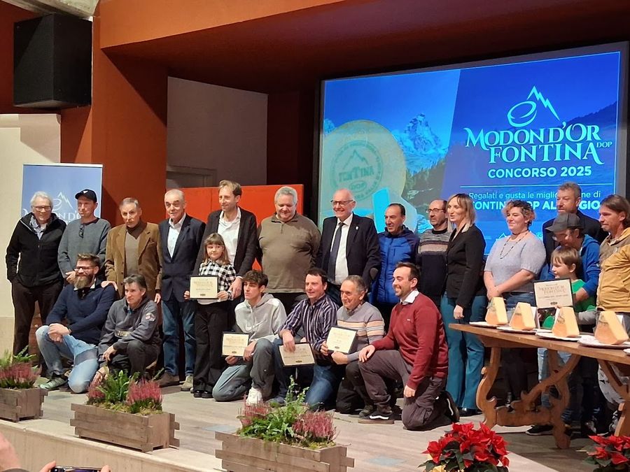 Modon d’Or 2025, ecco le cinque migliori Fontine DOP di alpeggio Modon d’Or 2025, ecco le cinque migliori Fontine DOP di alpeggio