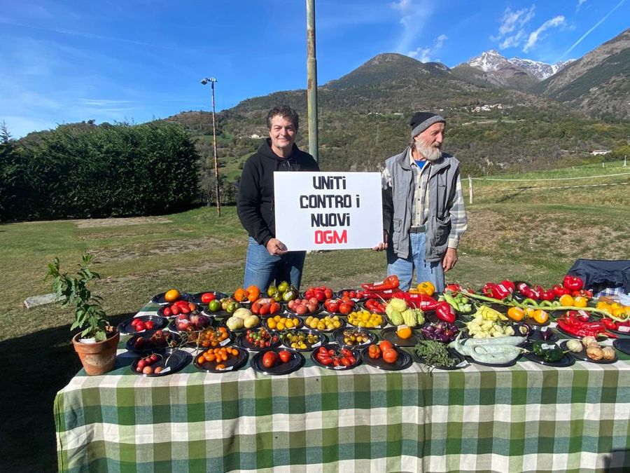 Un banco di semi antichi (cliccare sull'immagine per avviare la gallery)