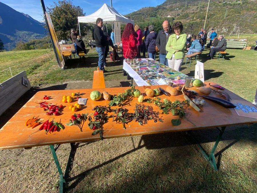 Nus, torna ‘An pomma pe an sei’, settima edizione dello scambio semi e mercato contadino